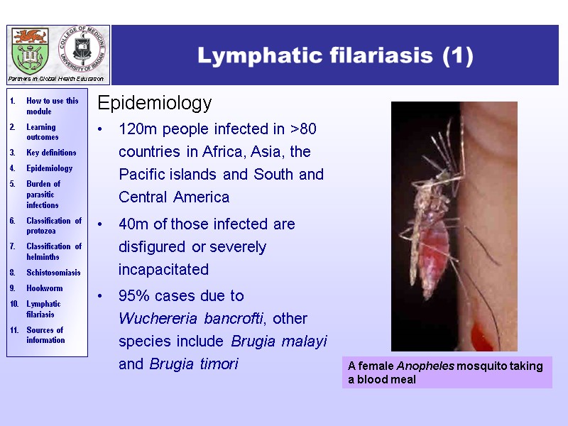 Lymphatic filariasis (1) Epidemiology 120m people infected in >80 countries in Africa, Asia, the